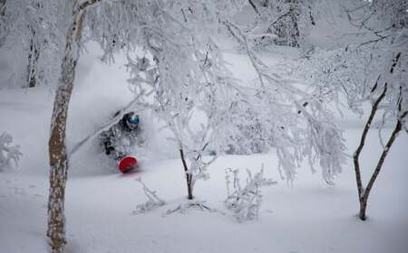 チセヌプリCATスキー+NISEKO Hykrots IKIGAI Village宿泊（1名様利用:3泊4日）【2024年10月上旬-2025年2月下旬発送予定】 スキー スキーツアー 観光 宿泊 宿泊券 蘭越 蘭越町 貸し切り 貸切 ツアー