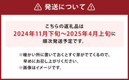 北海道 蘭越産 じゃがいも（男爵） 約10kg【2024年11月下旬～2025年4月上旬発送予定】