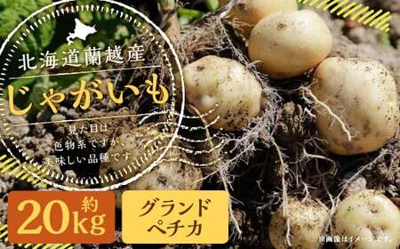 北海道 蘭越産 じゃがいも（グランドペチカ） 約20kg【2024年11月下旬～2025年4月上旬発送予定】