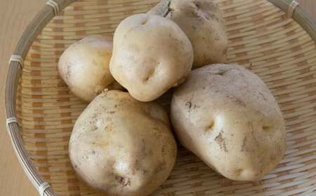 北海道 蘭越産 じゃがいも（男爵） 約10kg【2025年11月下旬-2026年4月上旬発送予定】