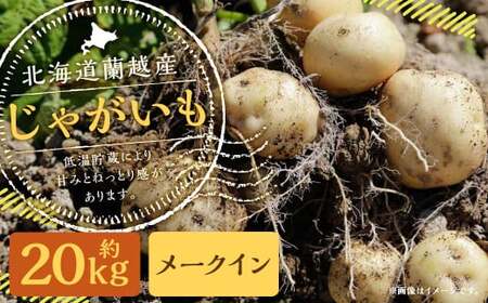 北海道 蘭越産 じゃがいも（メークイン） 約20kg【2025年11月下旬～2026年4月上旬発送予定】