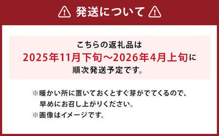 北海道 蘭越産 じゃがいも (グランドペチカ) 約5kg【2025年11月下旬-2026年4月上旬発送予定】野菜 5kg グランドペチカ ポテト 常温 北海道産 蘭越町