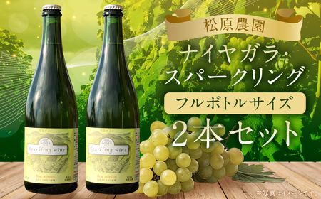 「ナイヤガラ・スパークリング」フルボトル（750ml×2本）計1500ml セット ぶどう ワイン スパークリングワイン 酒 葡萄 テーブルワイン 北海道産