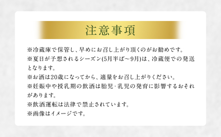 「ナイヤガラ・スパークリング」フルボトル（750ml×2本）計1500ml セット ぶどう ワイン スパークリングワイン 酒 葡萄 テーブルワイン 北海道産