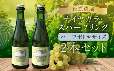 「ナイヤガラ・スパークリング」ハーフボトル（375ml×2本）計750ml セット ぶどう ワイン スパークリングワイン 酒 葡萄 テーブルワイン 北海道産