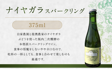 「ナイヤガラ・スパークリング」ハーフボトル（375ml×2本）計750ml セット ぶどう ワイン スパークリングワイン 酒 葡萄 テーブルワイン 北海道産