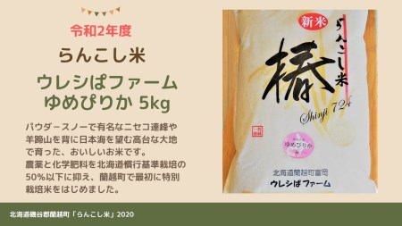 らんこし米 ゆめぴりか ５ｋｇ ウレシぱファーム 北海道蘭越町 ふるさと納税サイト ふるなび