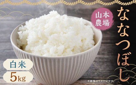【令和7年産】蘭越産 ななつぼし 5kg×1袋 米 こめ お米 おこめ 白米 精米 ご飯 ごはん ななつぼし 蘭越産 北海道産