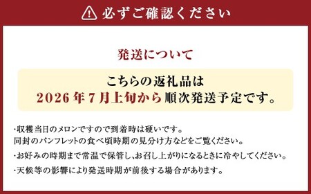 蘭越産 赤肉メロン 2玉 計 約 3kg 以上 【2026年7月上旬-8月上旬まで順次発送予定】 果物 くだもの フルーツ メロン めろん 日持ち 常温 北海道 蘭越町