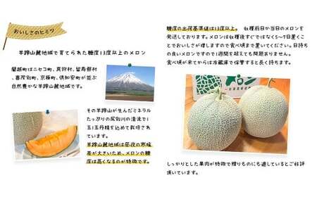 蘭越産 赤肉メロン 2玉 計 約 3kg 以上 【2026年7月上旬-8月上旬まで順次発送予定】 果物 くだもの フルーツ メロン めろん 日持ち 常温 北海道 蘭越町