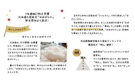 【令和7年産】 蘭越産 ゆめぴりか玄米 10kg 【2026年3月下旬まで順次発送予定】 玄米 米 お米 コメ ゆめぴりか 冷めても おいしい 常温 北海道 蘭越町