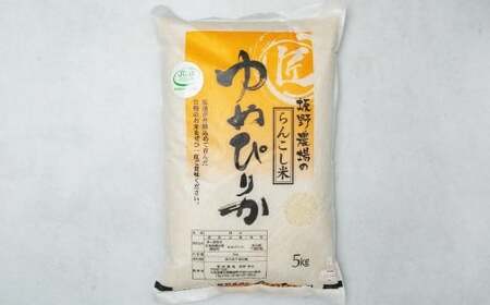 令和7年産 らんこし米 ゆめぴりか5kg