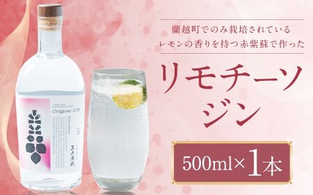 リモチーソジン 500mL
