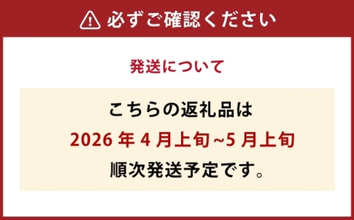 北海道産 船上活〆サクラマス 約2kg 【2026年4月上旬～5月上旬まで発送予定】 サクラマス 刺身 塩焼き ムニエル ホイル焼き 冷凍 魚 魚類 魚介 魚介類 食材 国産 マス 鱒 活〆 刺し身