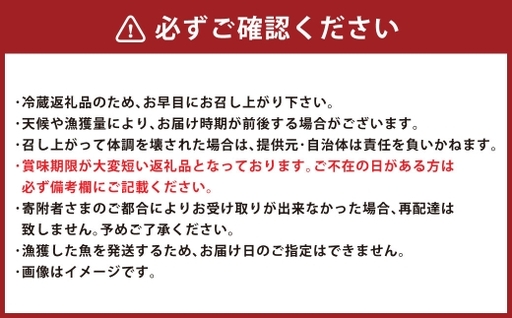 北海道産 船上活〆サクラマス 約2kg 【2026年4月上旬～5月上旬まで発送予定】 サクラマス 刺身 塩焼き ムニエル ホイル焼き 冷凍 魚 魚類 魚介 魚介類 食材 国産 マス 鱒 活〆 刺し身