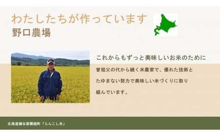 6ヶ月定期便】らんこし米 (ゆめぴりか) 5kg (野口農場) | 北海道蘭越町