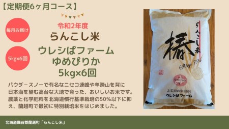 らんこし米 ゆめぴりか ５ｋｇ ウレシパファーム 6か月 大人気 豊富な 特別価格お茶 飲料お菓子 スイーツ セット類 その他アウトレット激安人気通販専門店舗 が大集合 激安人気通販専門店舗 を超激安で買えますよ 新作入荷 限定sale Castadiva Co Za