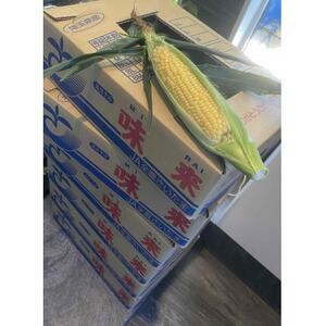 2026年先行予約　とうもろこし　味来　2Lサイズ×12本　計5kg(梱包込み)【配送不可地域：離島】【1564847】