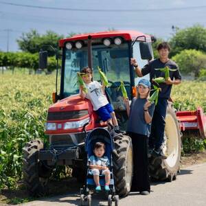 2026年先行予約　とうもろこし　味来　2Lサイズ×12本　計5kg(梱包込み)【配送不可地域：離島】【1564847】