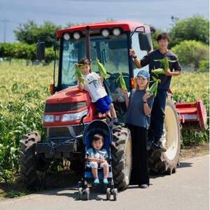 【先行受付2026年夏発送】上里町産とうもろこし　ドルチェドリーム2L×10本　計5kg(梱包込み)【配送不可地域：離島】【1564849】
