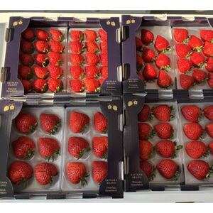 埼玉県限定品種あまりん 約500g【配送不可地域：離島】【1687064】