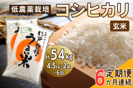 新米 [定期便／6ヶ月] 低農薬栽培のコシヒカリ《玄米》計54kg (4.5kg×2袋×6ヶ月連続)｜おいしい お米 コメ こめ ご飯 ごはん 白米 玄米 お取り寄せ 直送 贈り物 贈答品 ふるさと納税 埼玉 杉戸 [0545]