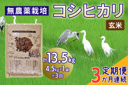 [定期便／3ヶ月] 無農薬栽培 コシヒカリ《玄米》計13.5kg (4.5kg×3ヶ月連続)｜おいしい お米 コメ こめ ご飯 ごはん お取り寄せ 直送 贈り物 贈答品 ふるさと納税 埼玉 杉戸 [0669]