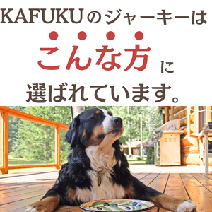 犬用おやつ 国産無添加おさかなジャーキー 30g入り×3点セット(マグロ、タイ、ヒラメ)｜ふるさと納税 ペット ペット用品 愛犬用 犬 犬用 ドッグフード ペットフード おさかな 魚 無添加 安心 安全 国産 おやつ ジャーキー 高タンパク 鉄分 低脂質 低アレルゲン 小型犬 中型犬 大型犬 ごはん わんこ わんちゃん 新鮮 ヘルシー 海鮮 犬のごはん 犬のおやつ 手作りおやつ [0591]