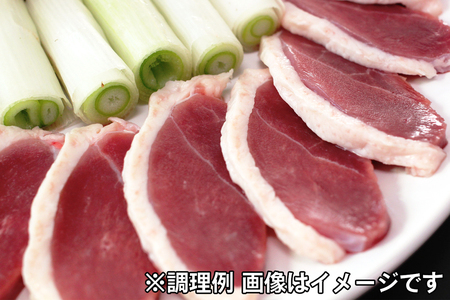 合鴨肉 セットB (ロース肉450g×2枚、ロース串×5本)｜国産合鴨 あいがも あい鴨 ダック アイガモ肉 合鴨ロース 低カロリー高たんぱく [0389]