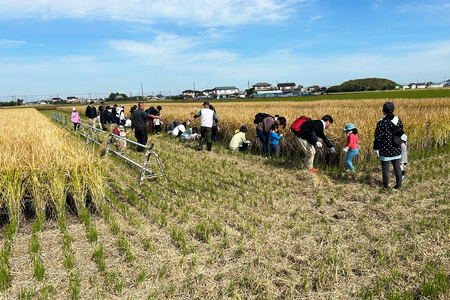 [定期便／隔月3ヶ月] 新米 コシヒカリと彩のきずな 食べ比べセット 計27kg (9kg×3回)｜おいしい お米 コメ こめ ご飯 ごはん 白米 アグリパーク お取り寄せ 直送 贈り物 贈答品 ふるさと納税 埼玉 杉戸 [0630]