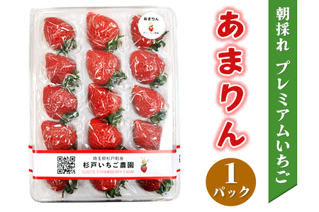 [先行予約]《あまりん》朝採れ プレミアムいちご 1パック｜埼玉 オリジナル 品種 糖度 高い 甘い 高級 イチゴ SugarBerry すぎと [0681]