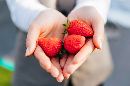 [先行予約]《あまりん》朝採れ プレミアムいちご 2パック｜埼玉 オリジナル 品種 糖度 高い 甘い 高級 イチゴ SugarBerry すぎと [0682]