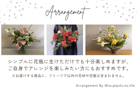 高成園 季節の切り花 フリージア【2026年3月下旬以降配送】産地直送 切花 生花 フラワー [0156]