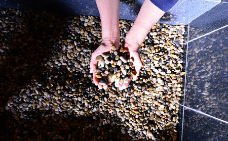 嵐の湯 松伏店 岩盤浴回数券6枚 チケット 岩盤浴チケット 15種類の薬石 老廃物排出 健康法 温熱療法 免疫力 治癒力 天然温泉の効能 