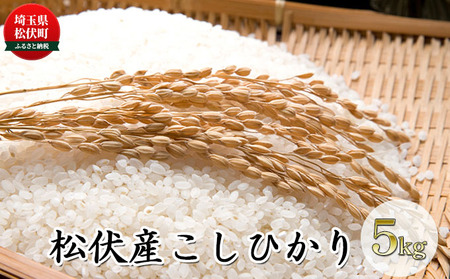 松伏産　こしひかり5kg お米 白米 精米 ライス ブランド米 銘柄米 ご飯 おにぎり お弁当 和食 粘り 硬さ バランスがいい 炭水化物 産地直送 直送 埼玉県産