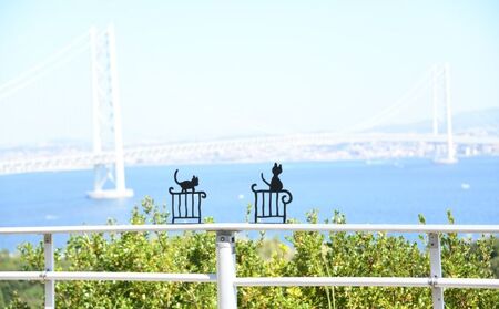 ブルーとティアラのオーナメント（B）ブルーとティアラ インテリア 置物 ガーデンオーナメント 黒猫 猫柄 猫好き 窓辺 ニッチ 可愛い 錆びない アルミ製 玄関アプローチ 猫の置物 