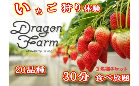 いちご狩り3名用チケット 体験チケット フルーツ狩り 親子 子連れ ファミリー 食べ比べ お出かけ
