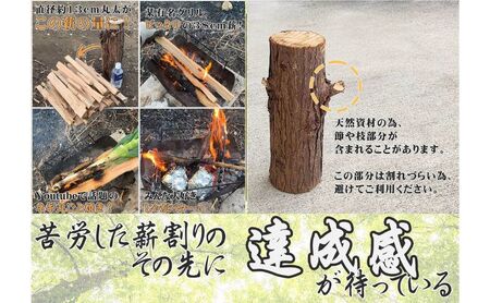 千葉県産切りっぱなし檜お手伝い丸太8本 BBQ・キャンプ・ スウェーデントーチ・DIY ・薪 ・薪割りの素材として便利! ひのき 木 アウトドア バーべキュー 焚火 火持ちが良い スツール 子供向け