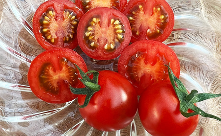 てっちゃんの完熟ミニトマト2kg採れたて農園直送 野菜 千 ブランド 酸味 甘味 美味しい プチトマト 子供 お弁当 お昼 サラダ 