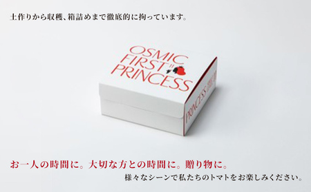 OSMIC FIRST PRINCESS 4箱セット　【トマト オスミック 千 ブランド ミニトマト 野菜】 国産 付け合わせ サラダ トッピング 糖度11 驚きの甘さ 