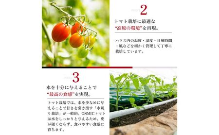 OSMIC FIRST PRINCESS　1箱 【トマト オスミック 千 ブランド ミニトマト 野菜】 国産 付け合わせ サラダ トッピング 糖度11 驚きの甘さ 