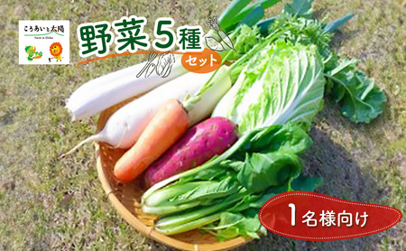 1名様向け／野菜5種セット