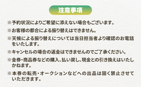 幕張ベイタウン 海浜幕張散策イベント　６０分コース チケット 体験型 体験チケット イベントチケット トゥクトゥク スイーツ お土産付き 幕張スイーツ昆陽 