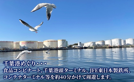 昼の観光船　大人ペアチケット 