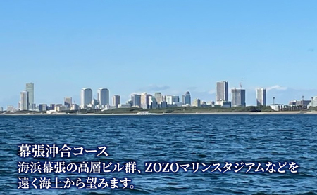 昼の観光船　大人ペアチケット 