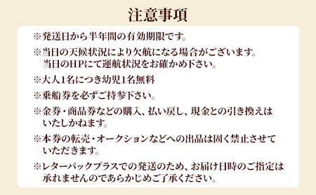 昼の観光船　大人ペアチケット 