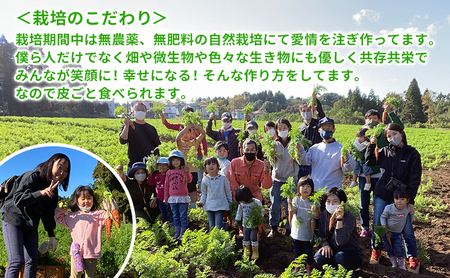 【冬】染谷ファームの笑顔にんじん　10キロ【千ブランド】　 