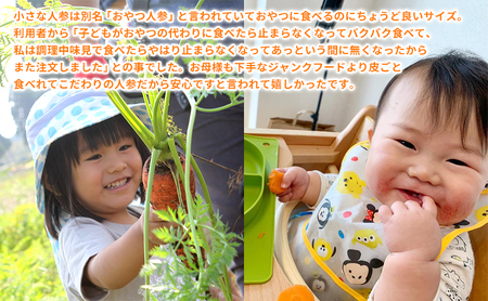 【冬】染谷ファームの笑顔にんじん　10キロ【千ブランド】　 