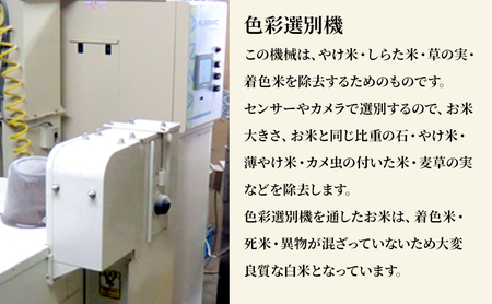 米 若葉の舞 コシヒカリ 白米5kg 定期便3回 こしひかり お米 白米 定期便 精米 千葉 千葉県 低温保存