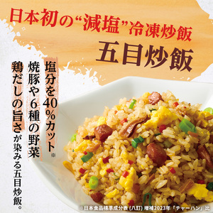 味の素冷凍食品　チャーハン・ピラフ3種　計6袋セットB 冷凍食品 炒飯 冷凍炒飯 エビピラフ 五目炒飯 ご飯 冷凍 レンジ 電子レンジ 簡単 簡単料理 千葉市 千葉県 イオンリテール